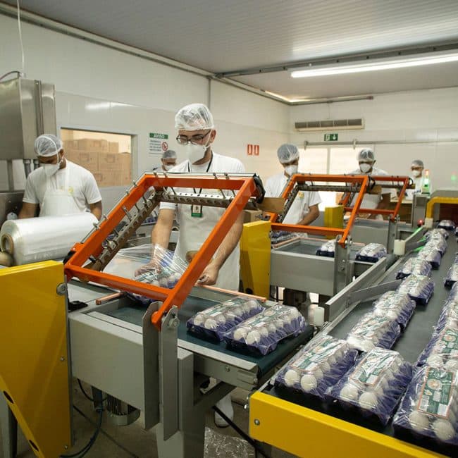 Santa Clara produção